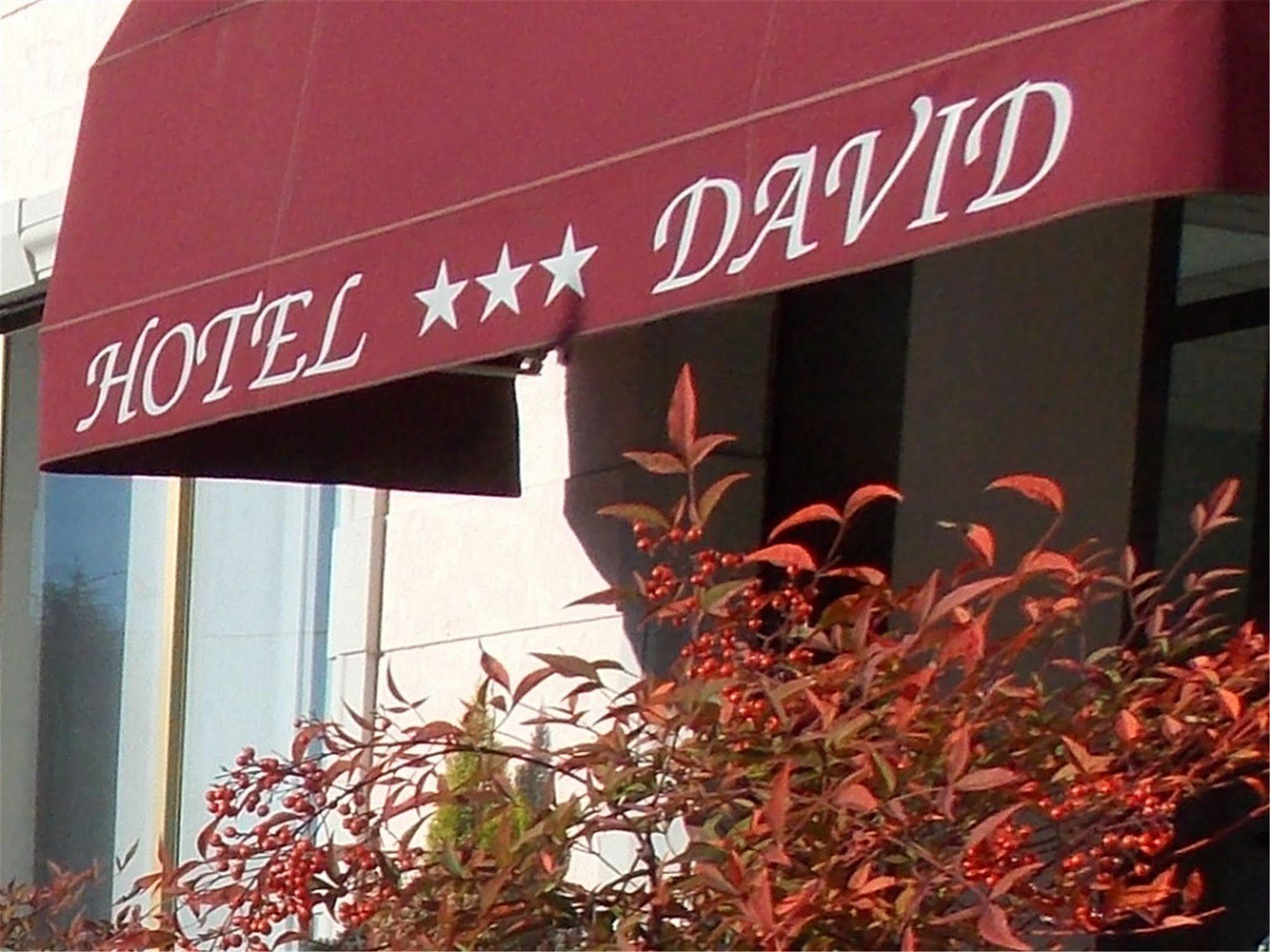 Hotel David Sesto Calende Bagian luar foto